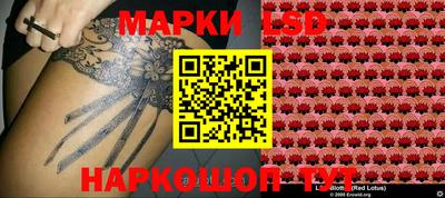 ПСИЛОЦИБИНОВЫЕ ГРИБЫ Лесной