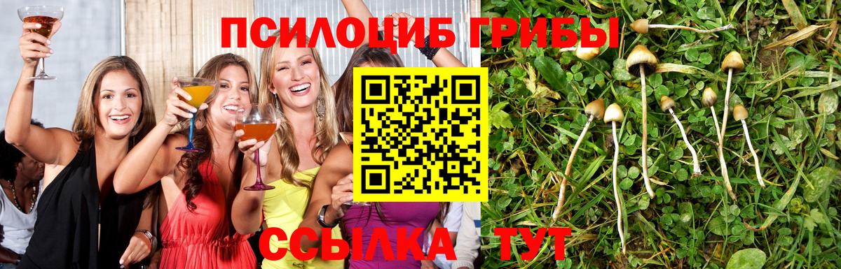 Галлюциногенные грибы Psilocybe  Псилоцибиновые грибы мухоморы  Вход с VPN  Мурманск 