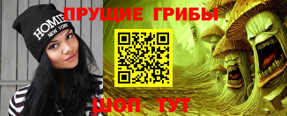 Псилоцибиновые грибы мицелий Мурманск